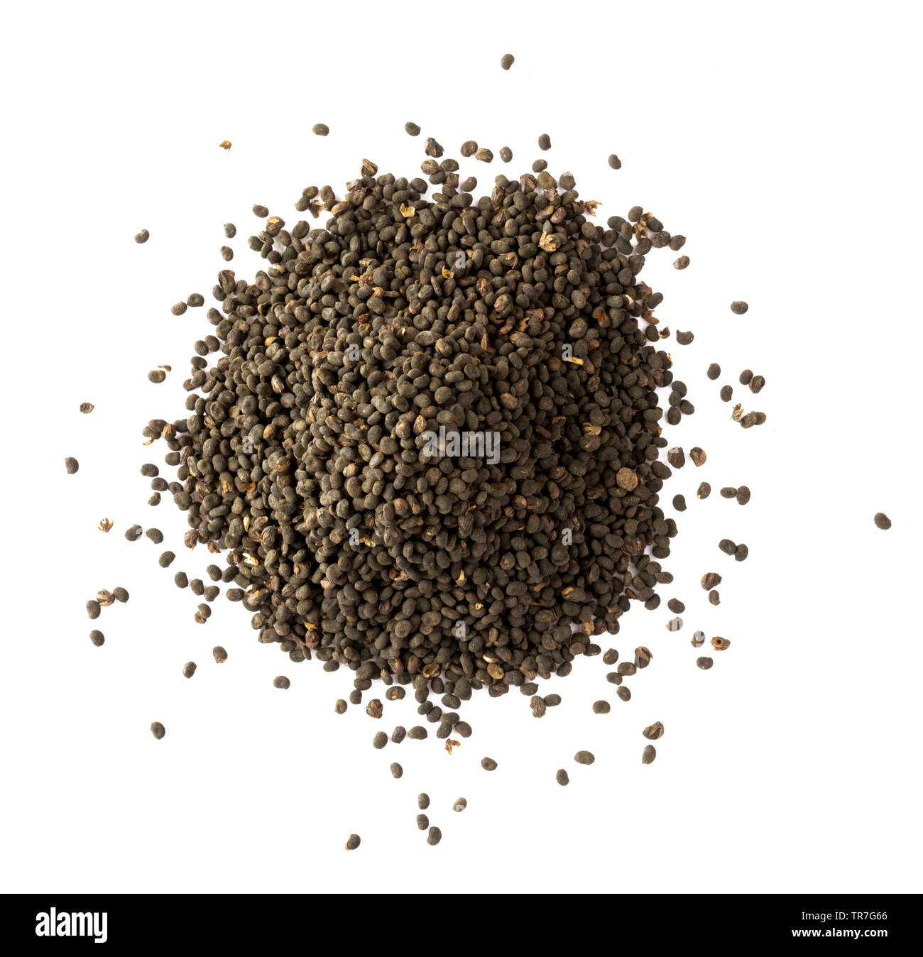 Babchi dry whole seeds isolated on white background. Bakuchiol concept. Design template. Stock Photo