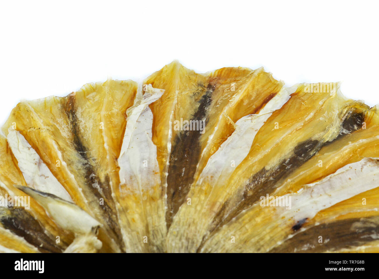 Circle dried fish dissect preservation dry seafood Stock Photo Alamy