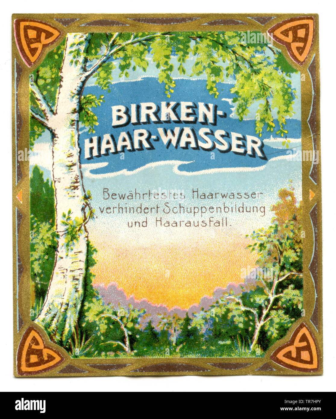 Label for birch hair water against dandruff and hair loss ,  (label, ) Stock Photo