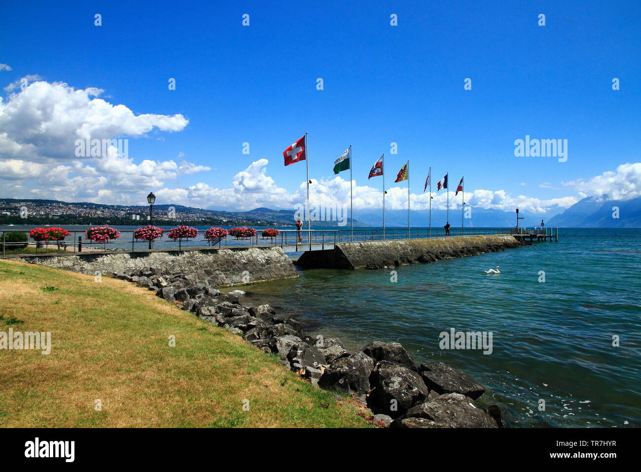 SaintSulpice, municipality in Switzerland in the canton of Vaud Stock