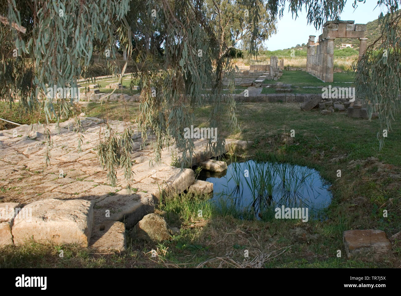 Ancient stone bridge at the ancient temple of goddess Artemis at Vravrona region in Attica, Greece, June 2018. Stock Photo