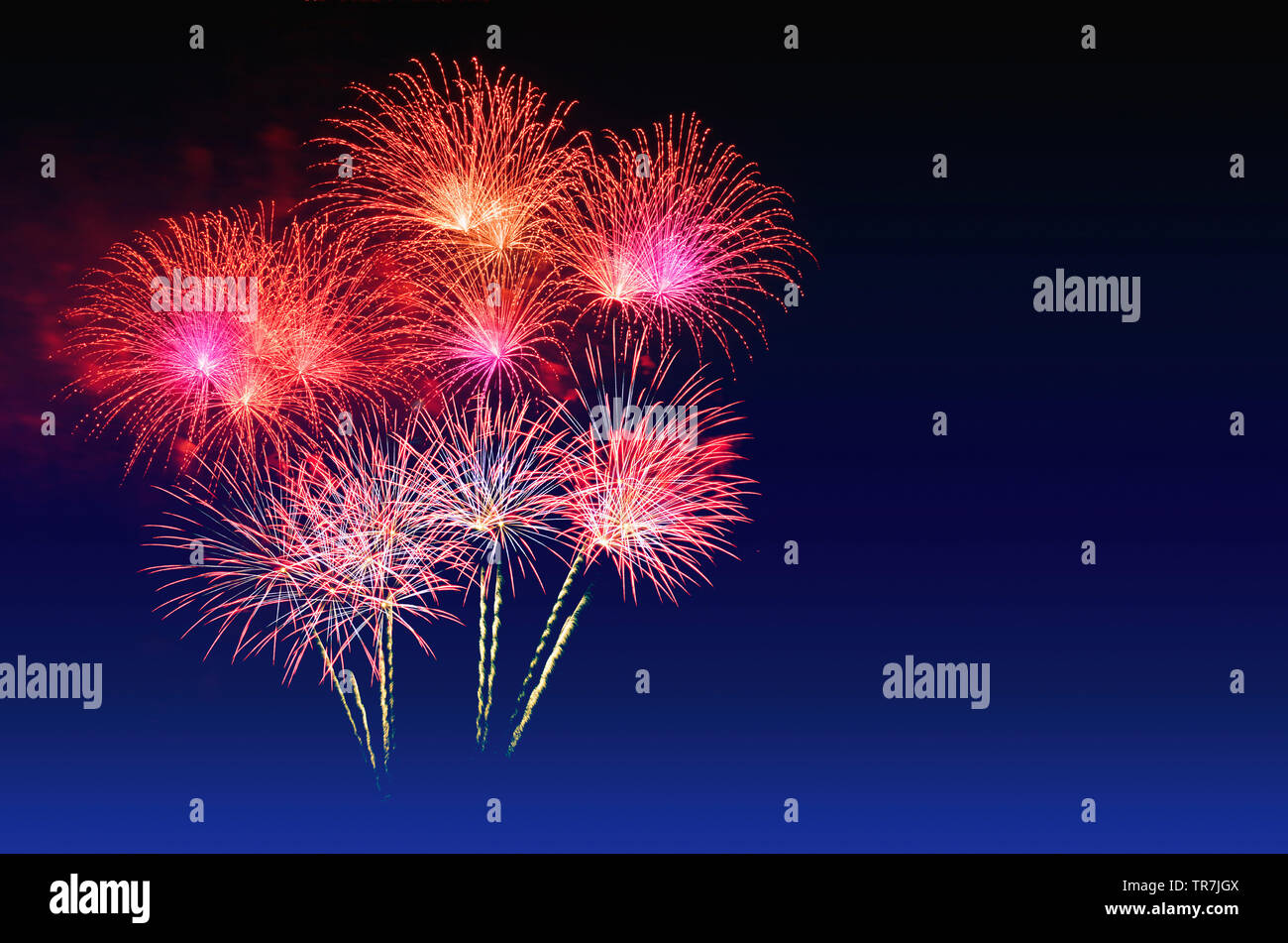 Colorful fireworks celebration and the twilight sky background. Stock Photo