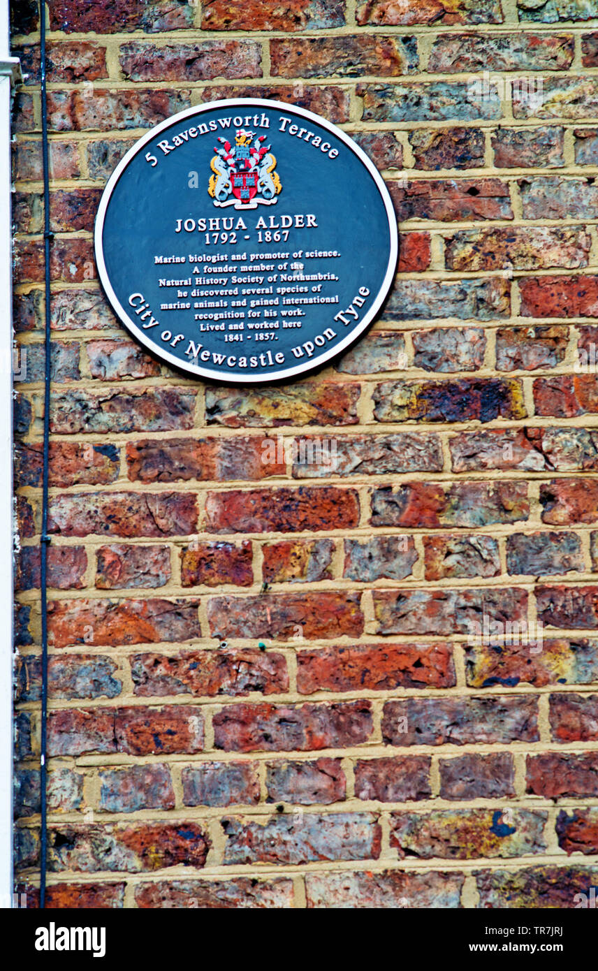 Plaque on Wall of No 5 Ravensworth Terrace, residence of Joshua Alder, Newcastle upon Tyne, England as featured in tv programme a house in time Stock Photo
