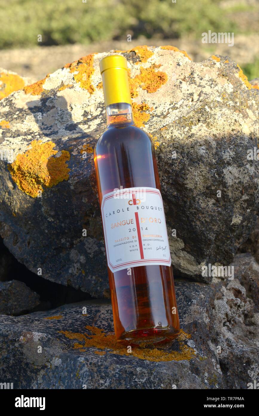 Italy, Sicily, Island of Pantelleria : A bottle of Sangue d'Oro, the sweet  wine Passito of Pantelleria produced by the french actress Carole Bouquet i  Stock Photo - Alamy