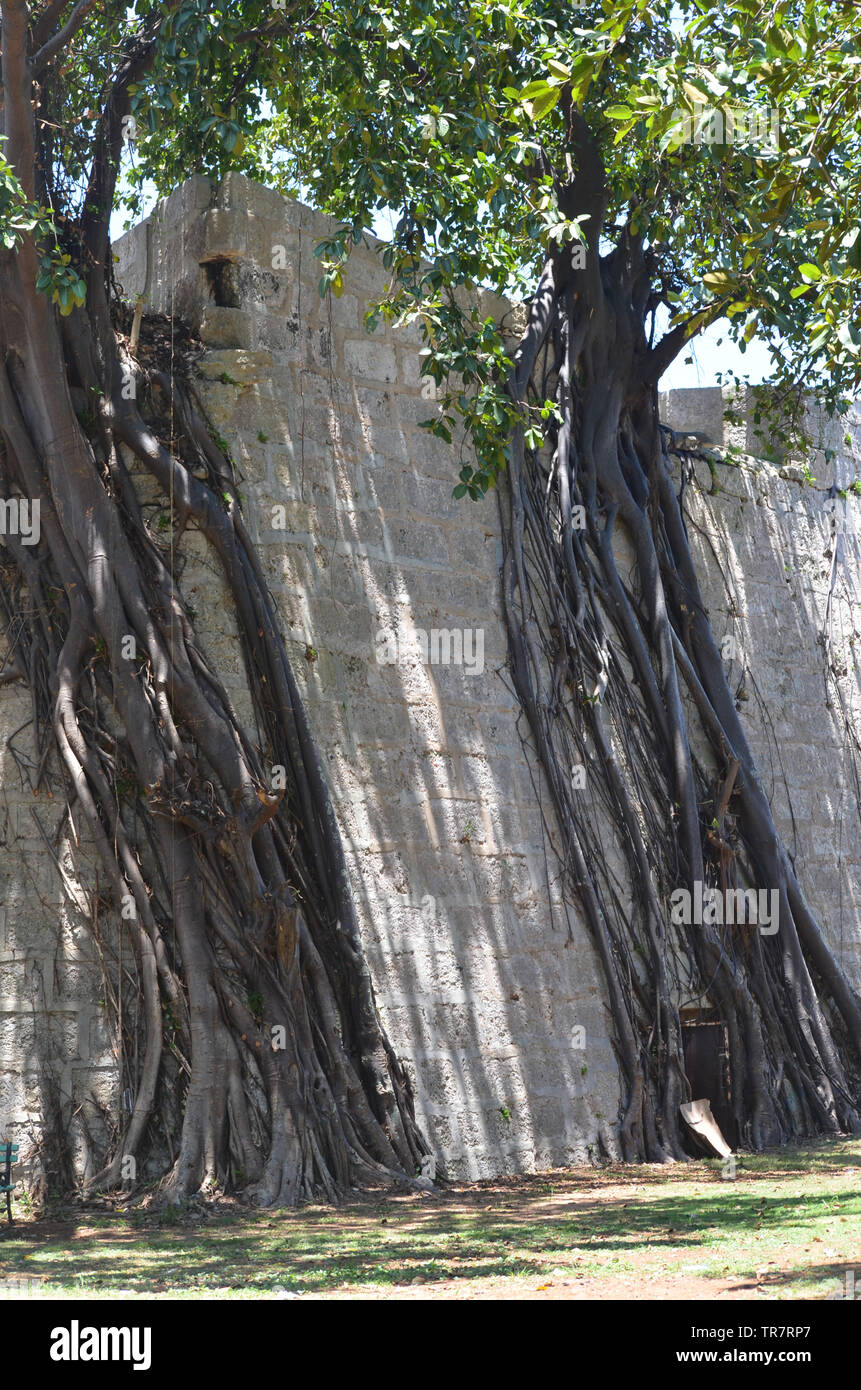 Morro Fortress in Havana Bay, an example of Spanish colonial defensive ...
