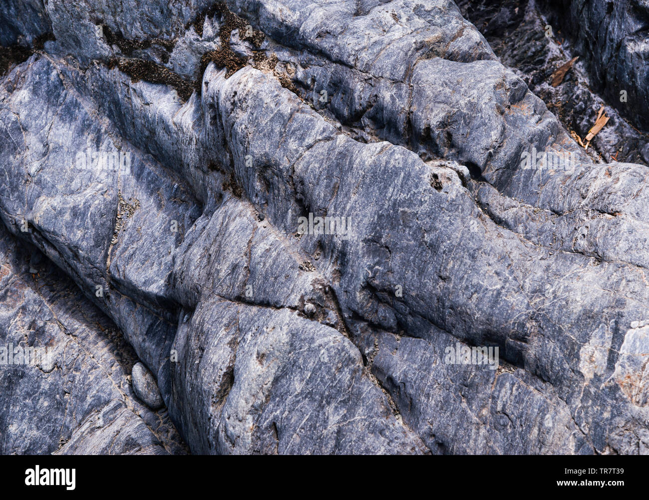 Abstracted detail of the rocky shore of Te Hoiere / Pelorus River, in the Marlborough region of New Zealand Stock Photo