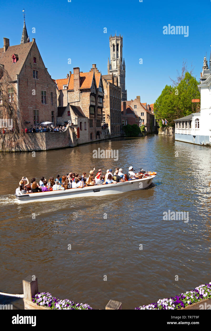 Bruges, sightseeing boat trip, Belgium, Europe Stock Photo