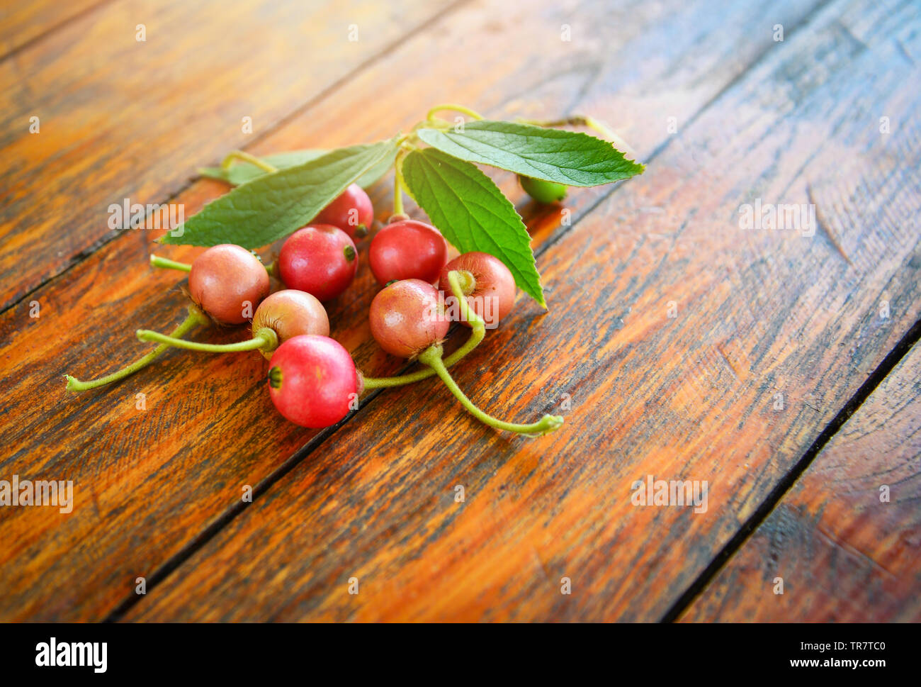 Jamaican cherry fruit and leaf on wooden background / local fruit in asia other names Malayan Cherry Calabura jam tree Stock Photo