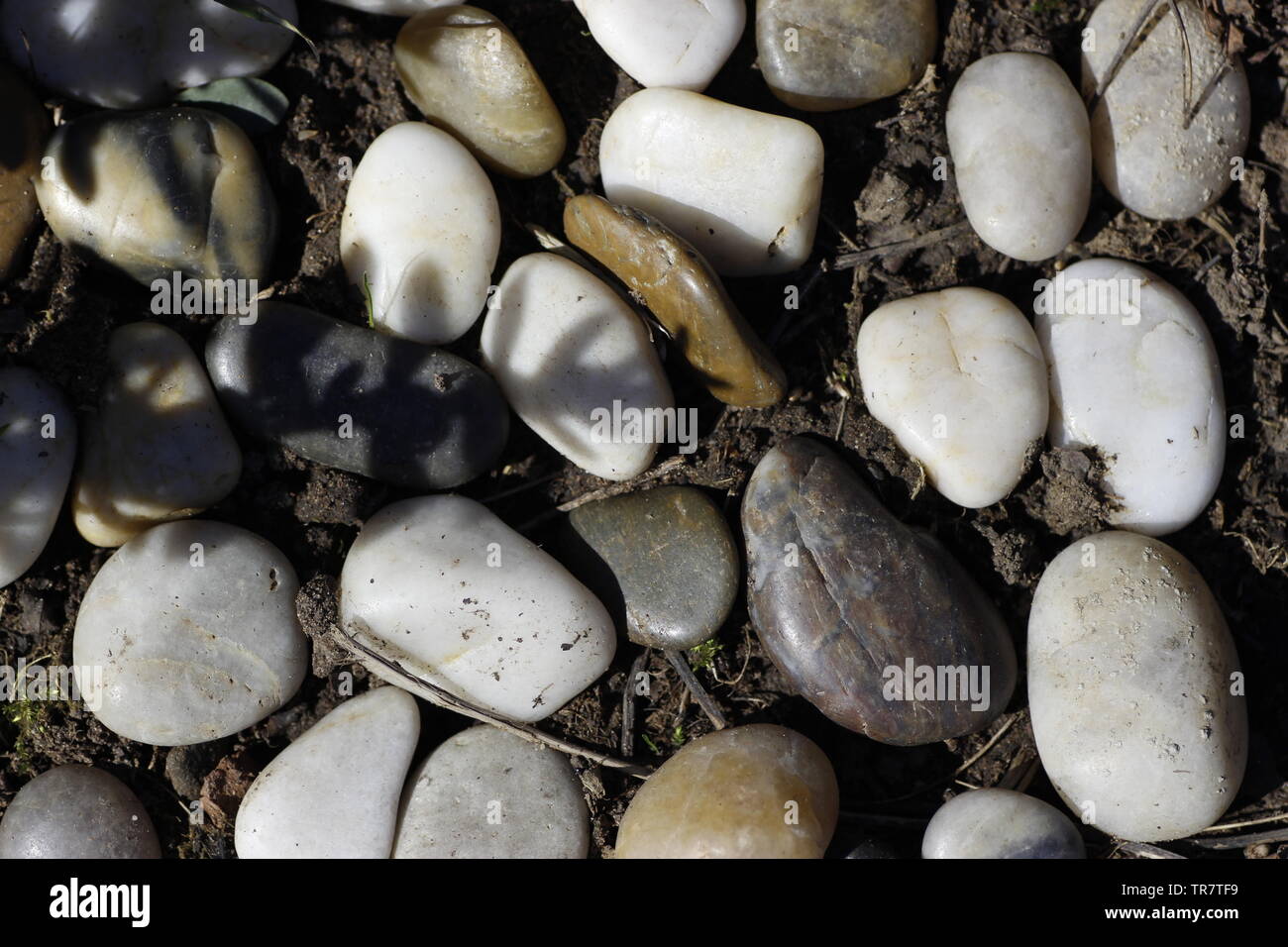 Smooth worn white rocks hi-res stock photography and images - Alamy