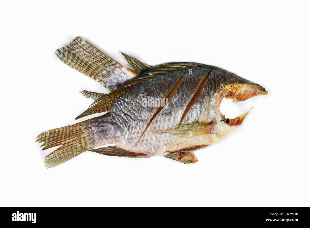 Dried fish tilapia isolated on white background Stock Photo