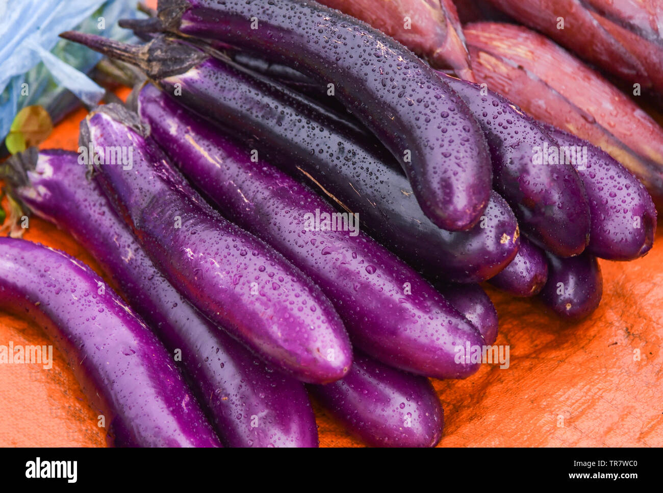 Long eggplant purple / Fresh eggplant fruit for sale in the vegetable