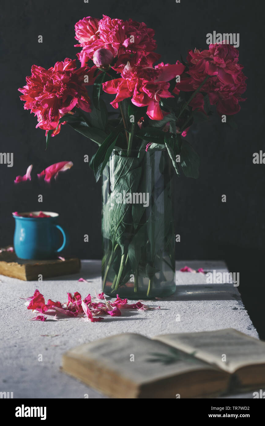 Bouquet of flower peonies in vase on a dark background. Botanical still ...