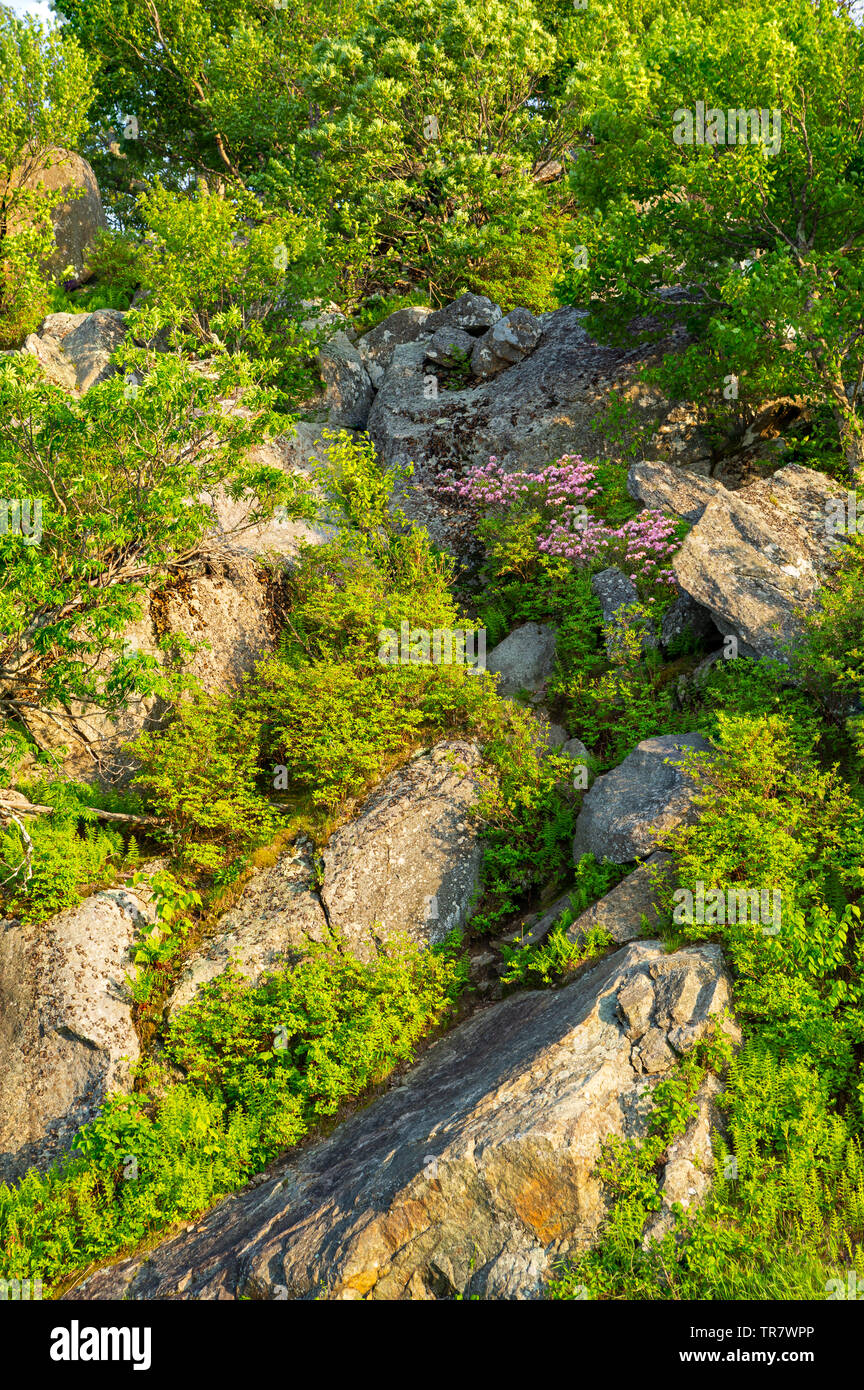 Beautiful rock landscape along the Skyline Drive in the US state of ...