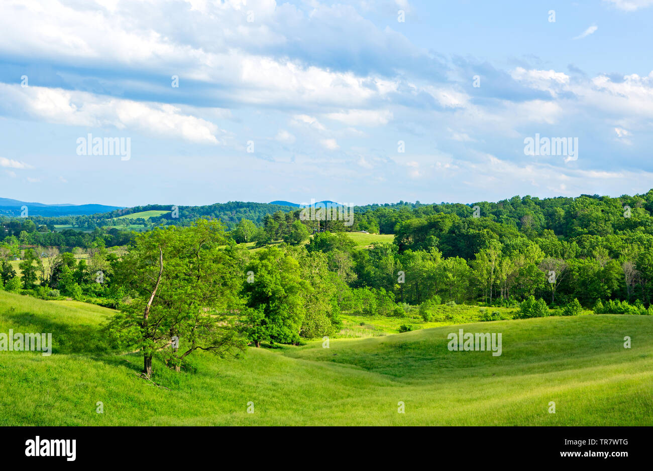 Beautiful rolling hills in springtime at Sky Meadow State Park, Virginia USA Stock Photo