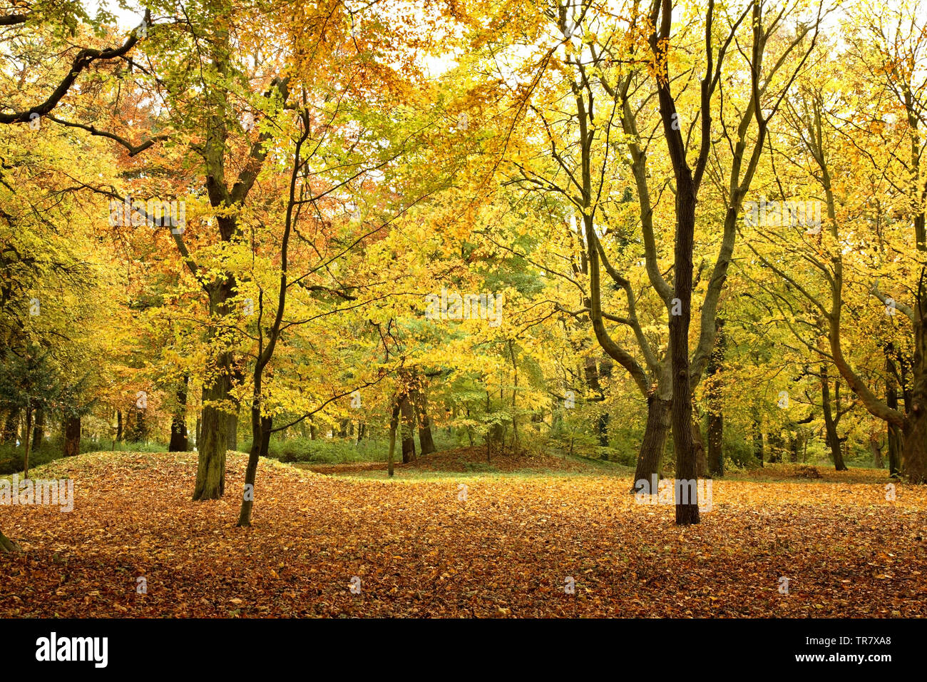 Pomeranian Voivodeship High Resolution Stock Photography and Images Alamy