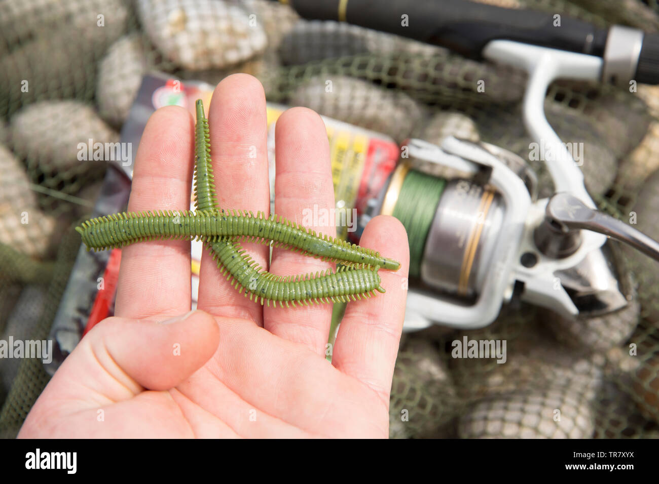 Isome worm lures that are being used for shore fishing from a