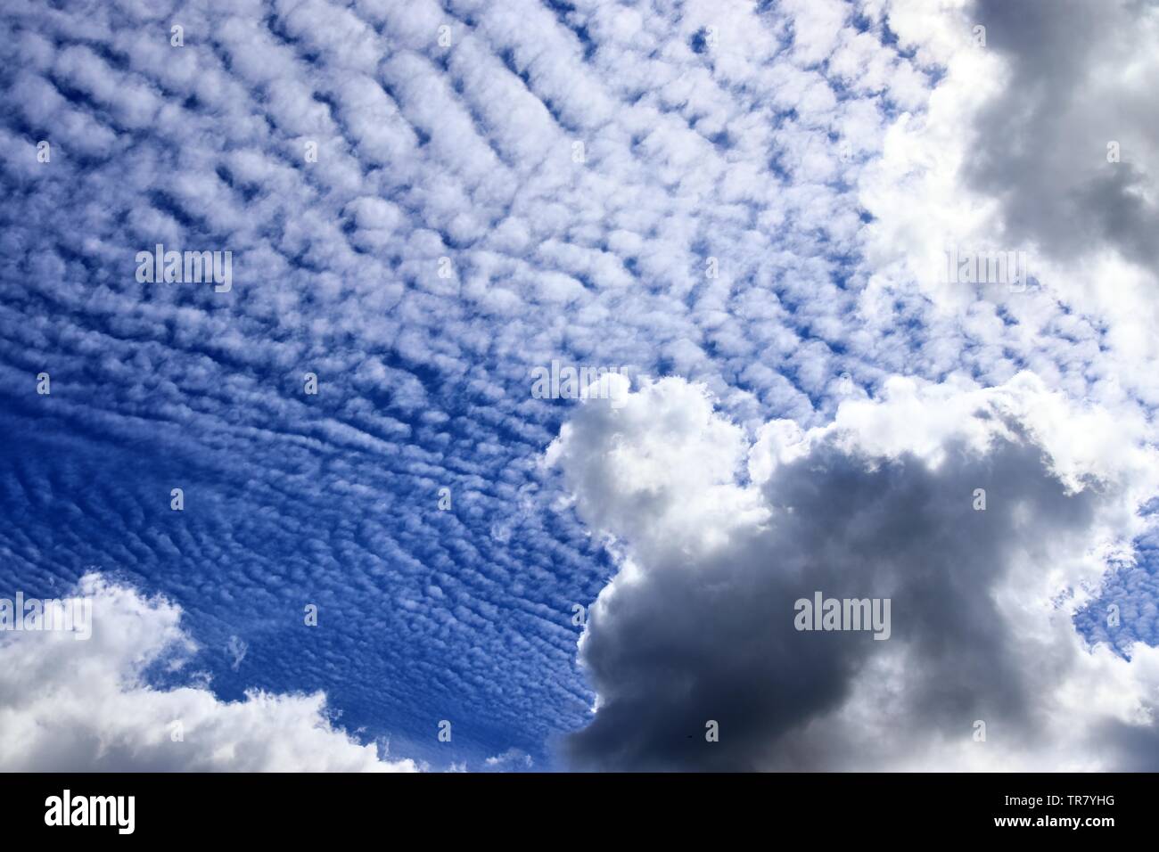 Beautiful cirrus cloud formations in a deep blue sky Stock Photo Alamy