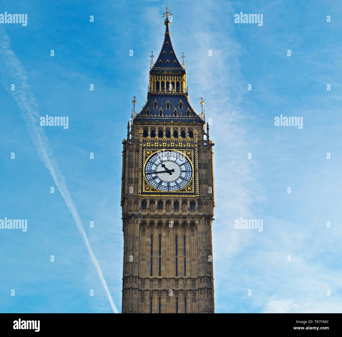My Image 27