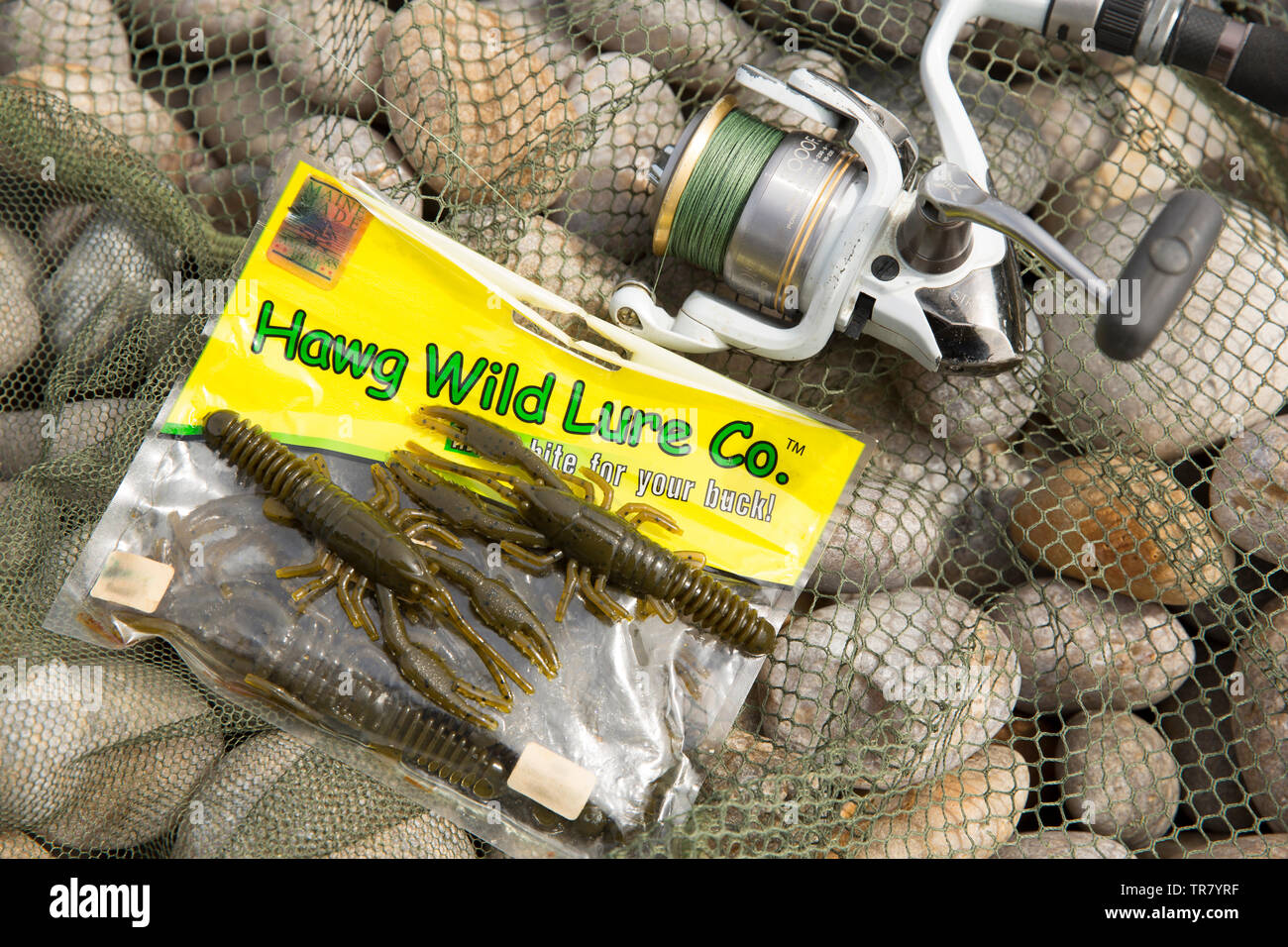 Hawg Wild Lure Co. artificial crayfish baits being used for shor fishing in the UK. Dorset England UK GB Stock Photo