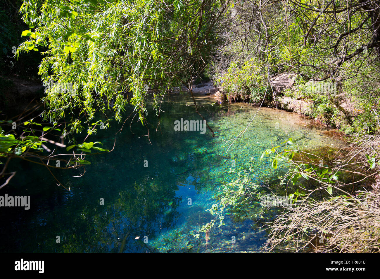 the beautiful spring font vive near grospierres in the ardeche region in france Stock Photo
