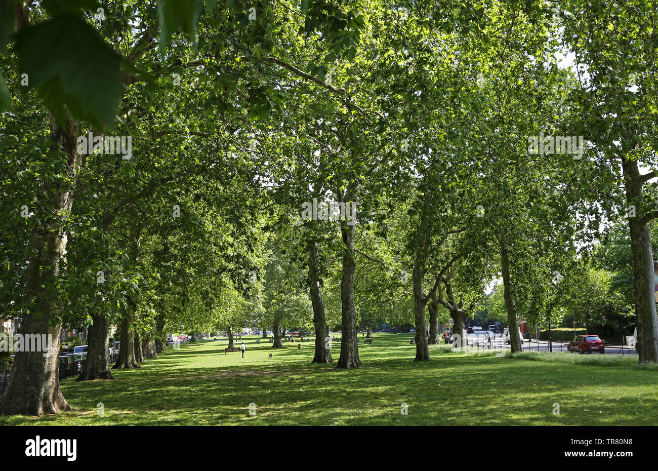 Goose Green in East Dulwich, London, UK. A popular, enclosed park ...
