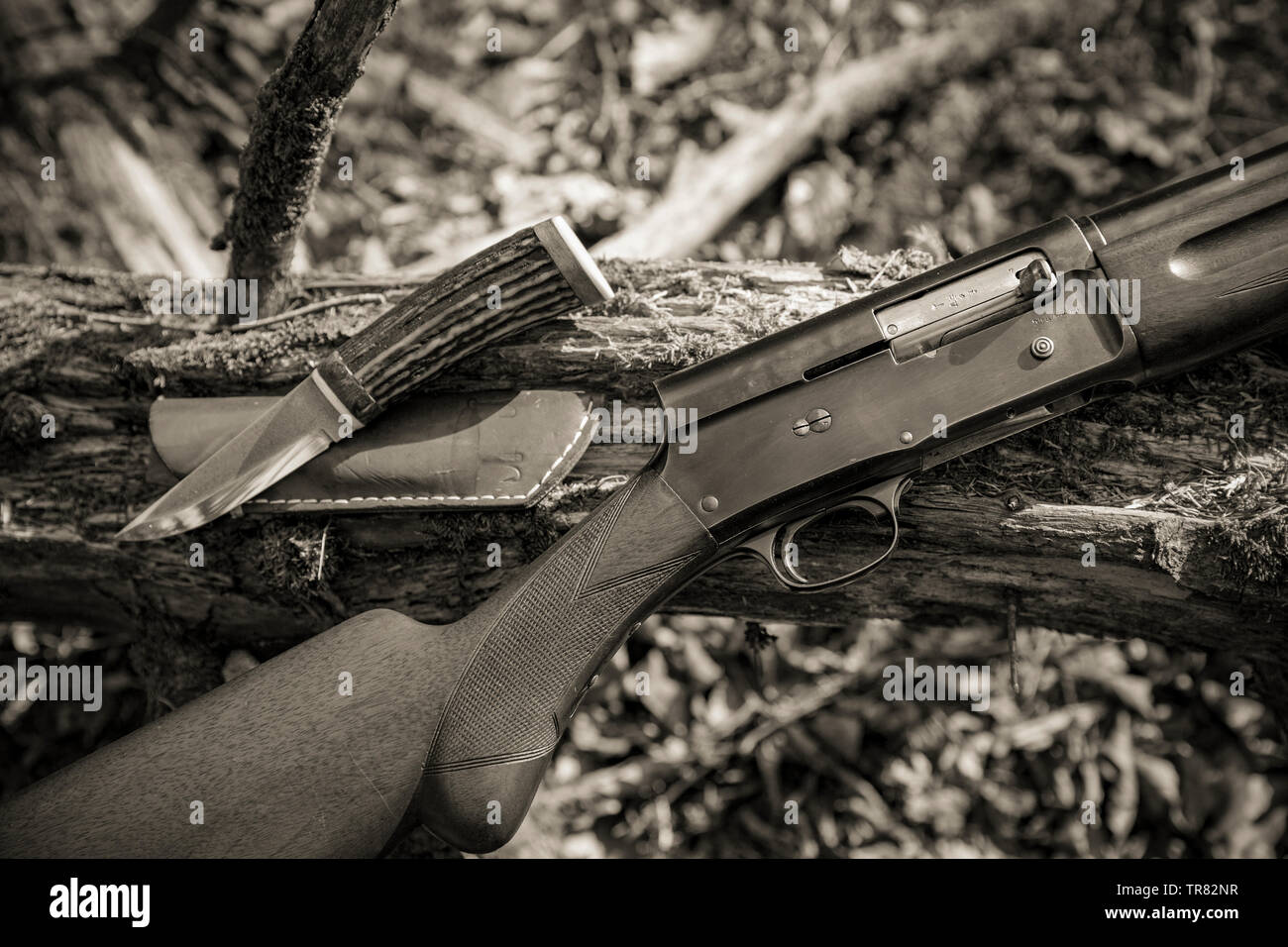 Gun fishing hi-res stock photography and images - Alamy