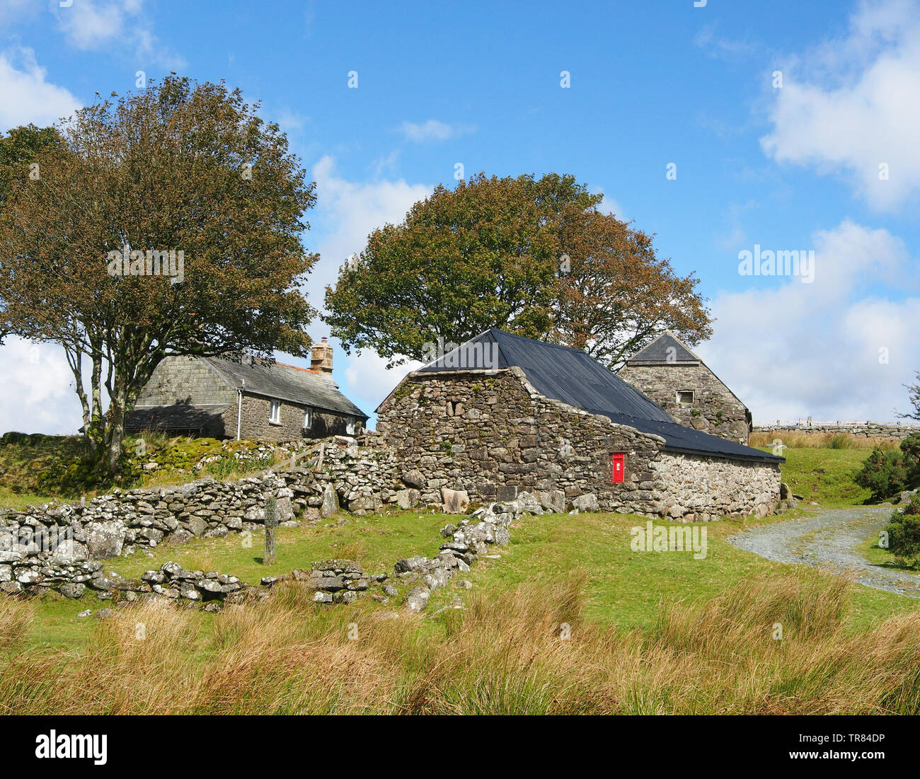 A small group of very isolated cottages in Dartmoor National Park, Devon, one of which has a post box set in the wall. Stock Photo