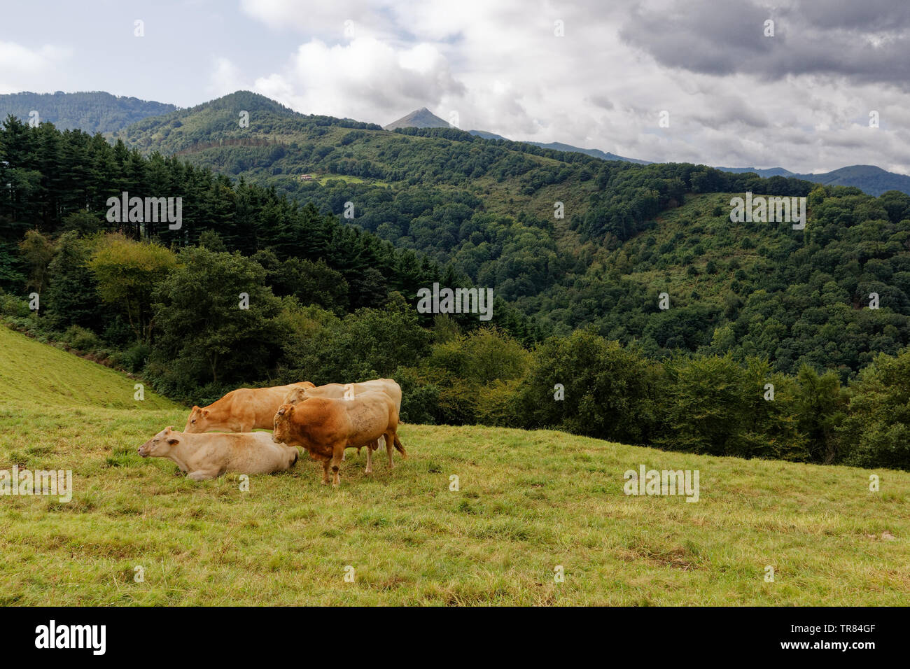 Pays Basque landscape,  France, mountain landscape and cloudy sky Stock Photo
