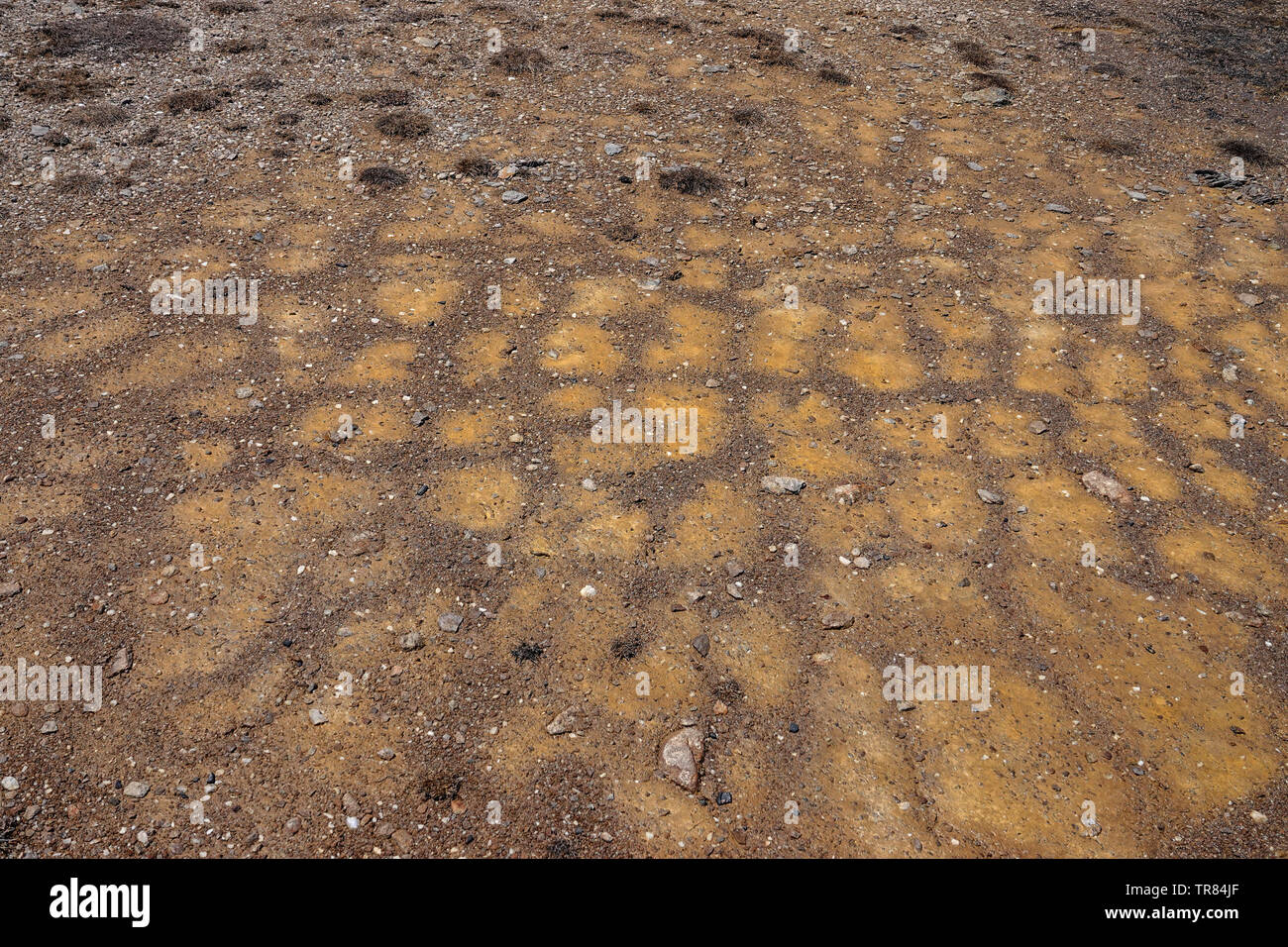 Frost polygons on flat gravel area, Col du Granon, Briancon, Ecrins, France Stock Photo