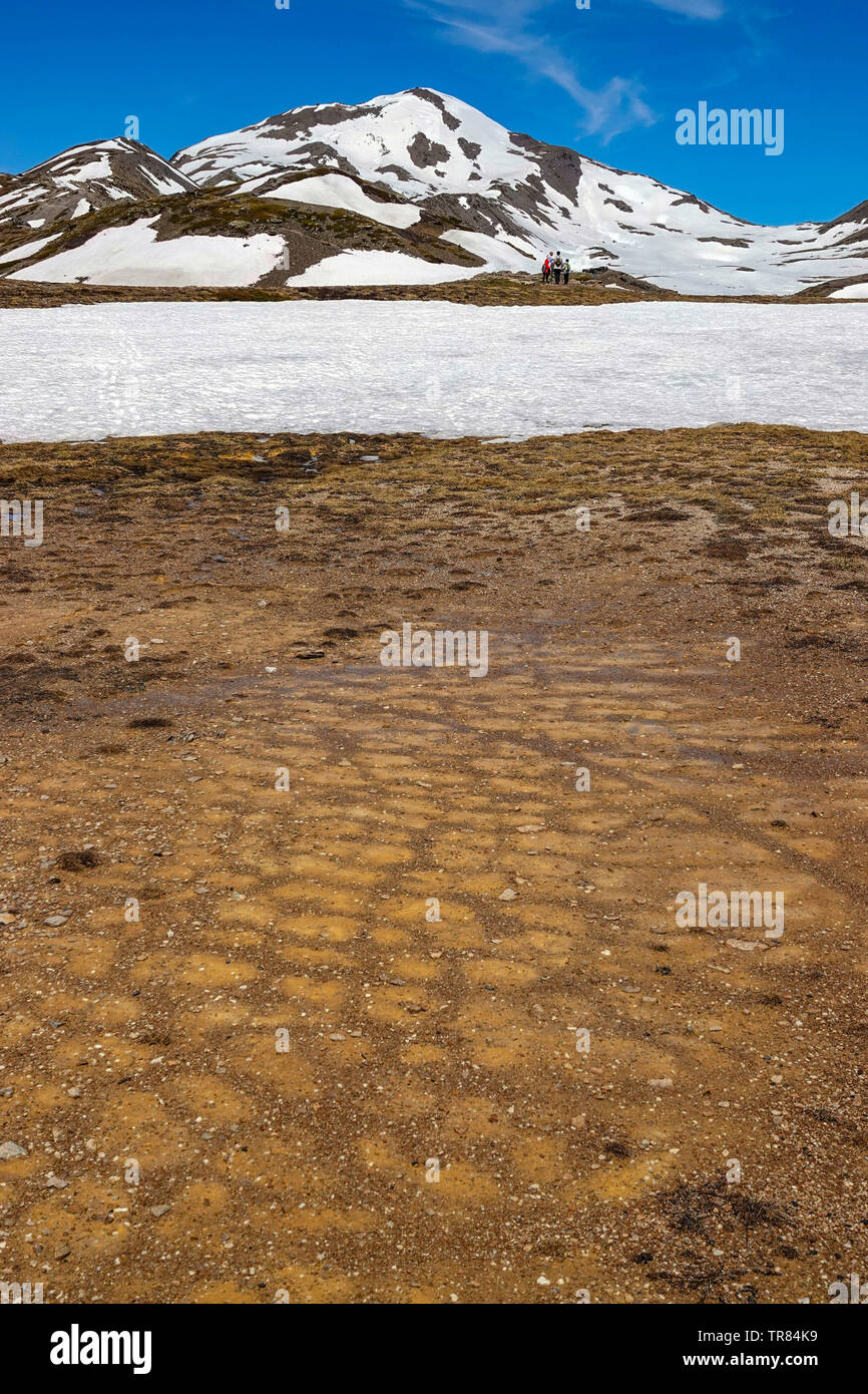 Frost polygons on flat gravel area, Col du Granon, Briancon, Ecrins, France Stock Photo