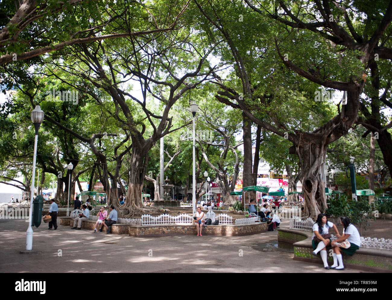 Zocalo
