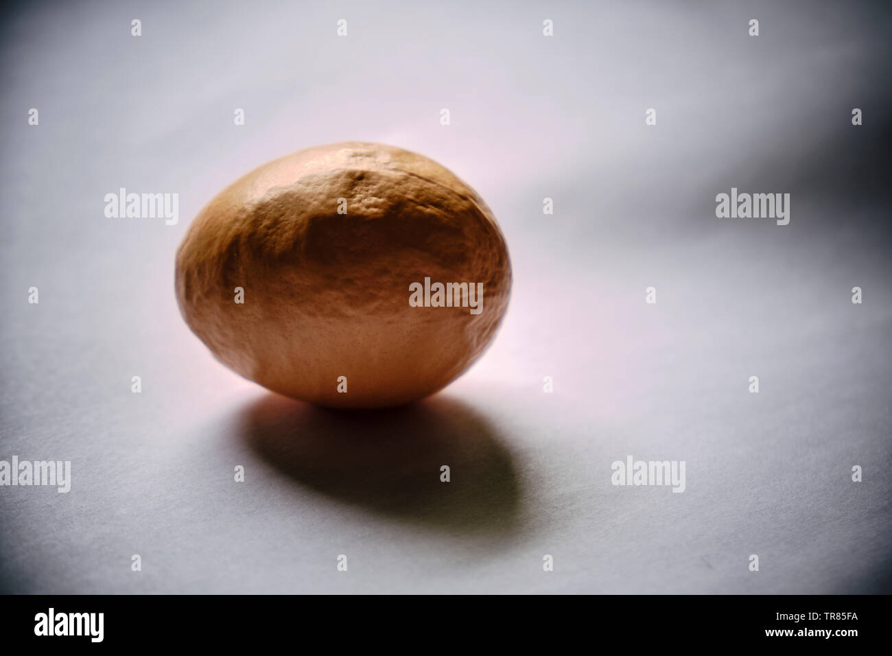 An oddly rough and brown eggshell on a white background Stock Photo Alamy