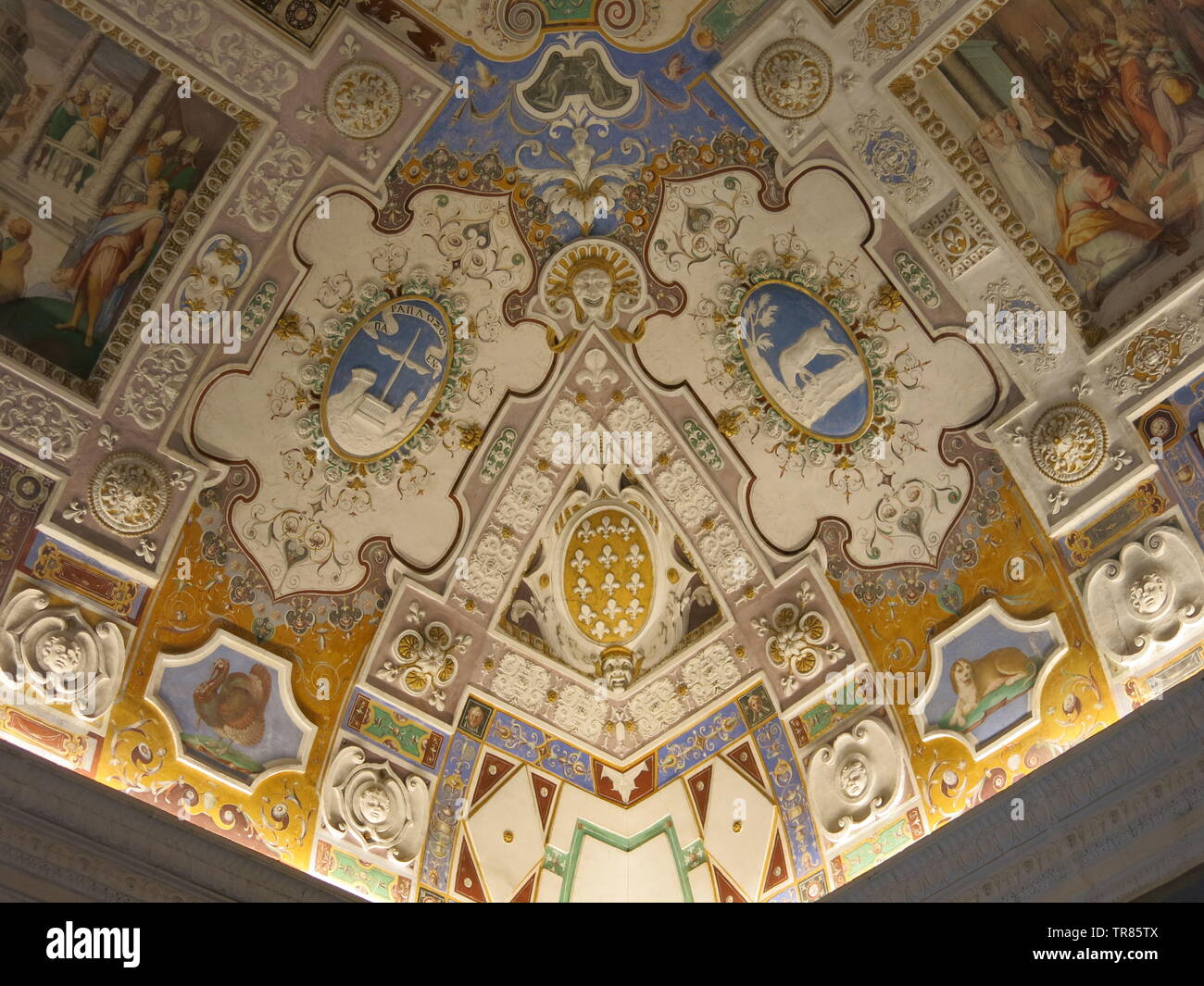 One of the highly decorated ceilings at the Villa Farnese, a ...