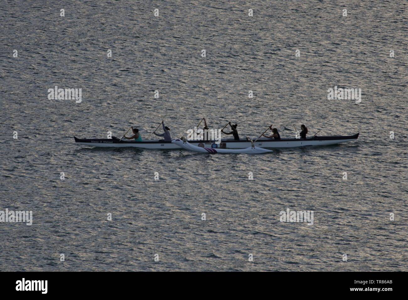 Outrigger canoes conduct early evening practice in Hilo, Hawaii Stock Photo