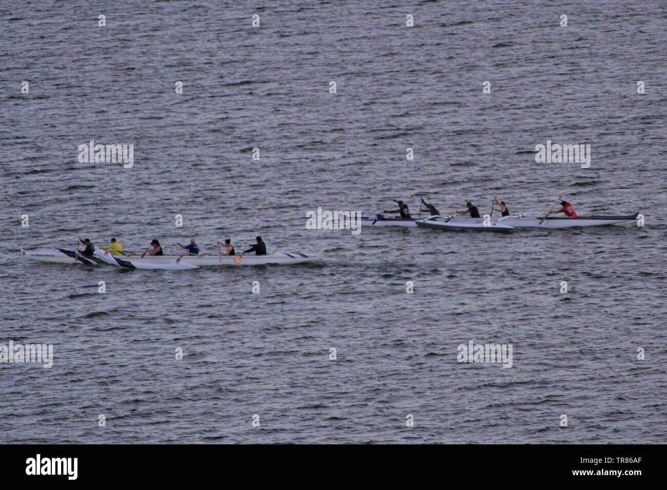 Outrigger canoes conduct early evening practice in Hilo, Hawaii Stock Photo