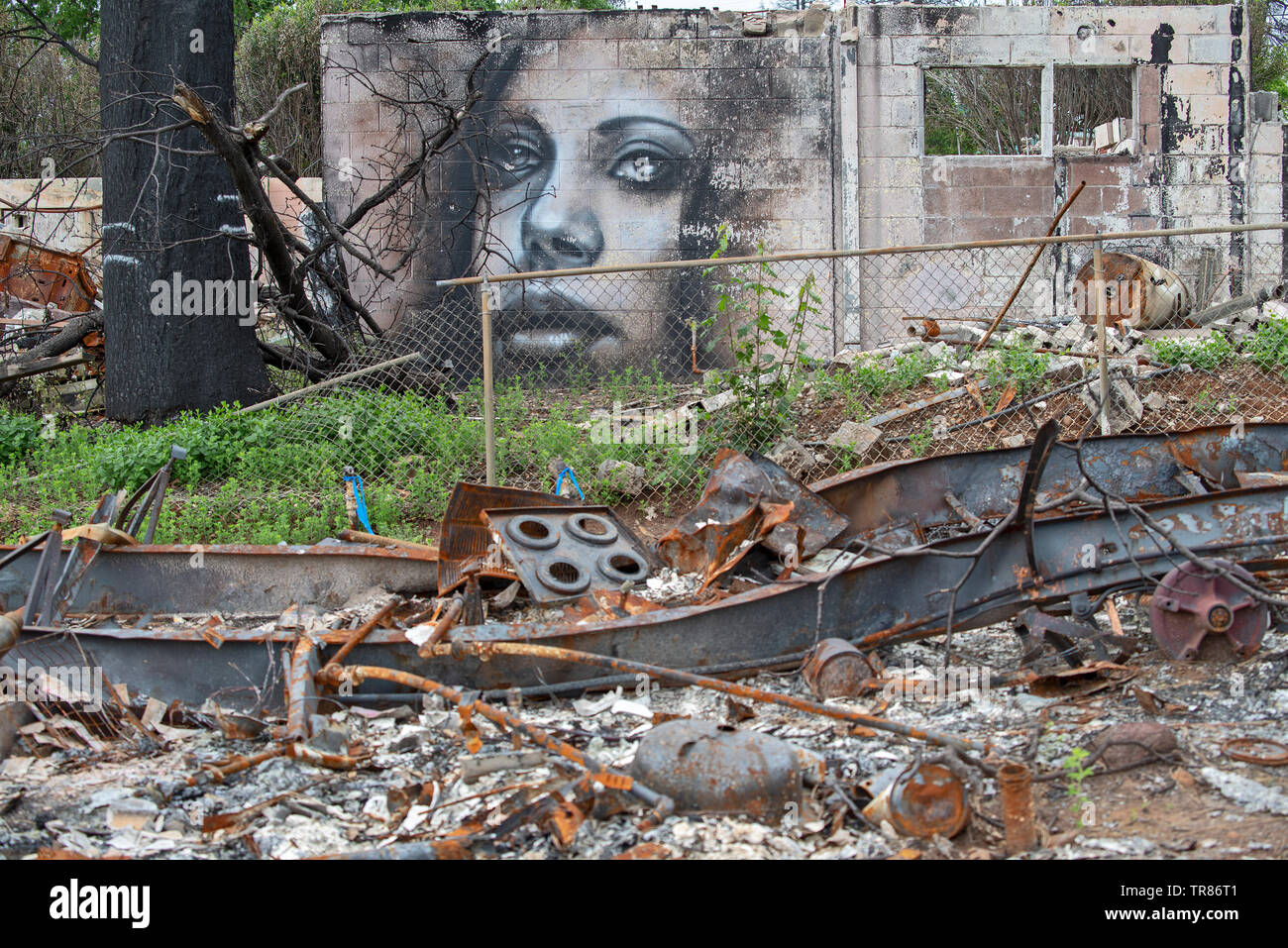 Graffiti artist Shane Grammer paints portraits among the ashes from