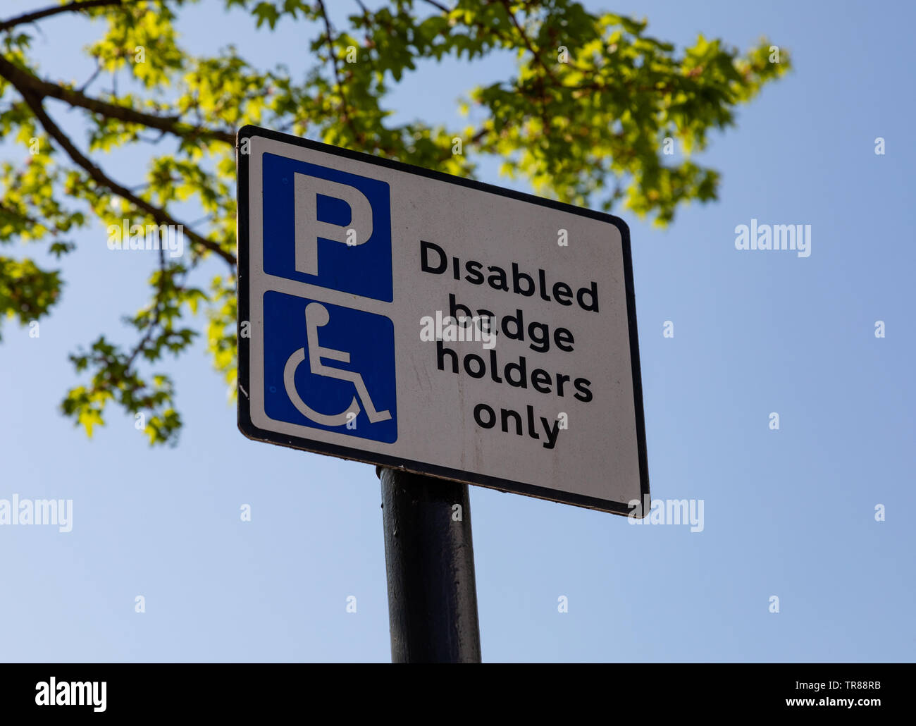Pole Sign Disabled Parking Sign Hi res Stock Photography And Images Alamy Pole Sign Disabled Parking Sign Hi res Stock Photography And Images Alamy
