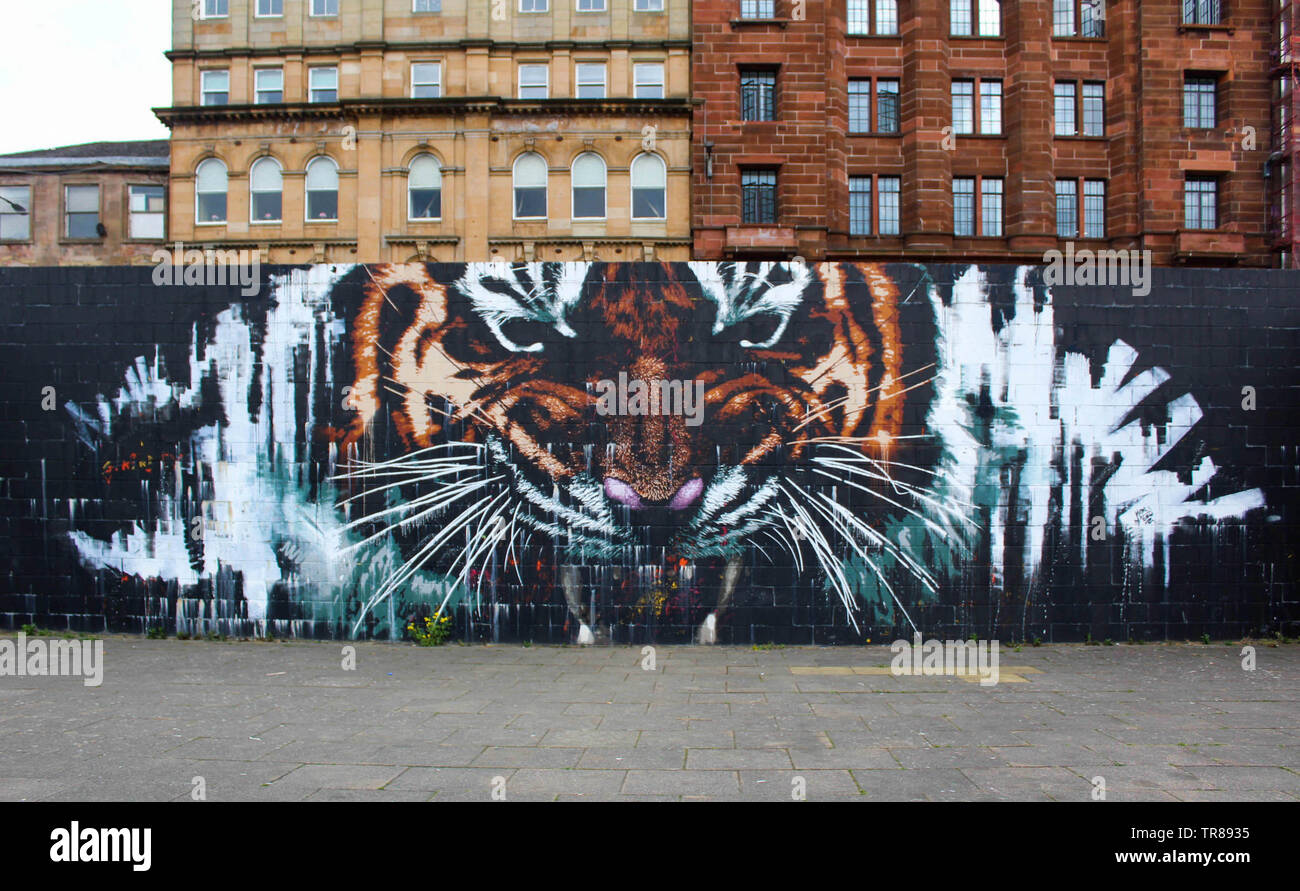 Glasgow Mural Stock Photo Alamy