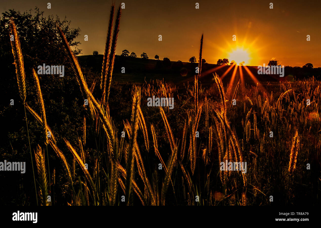 Countrylane High Resolution Stock Photography and Images - Alamy
