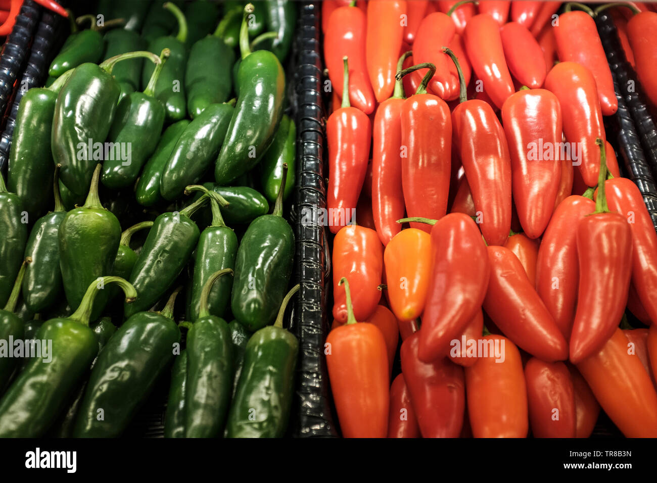 Green And Red Jalapeno Peppers Capsicum Annuum Stock Photo Alamy