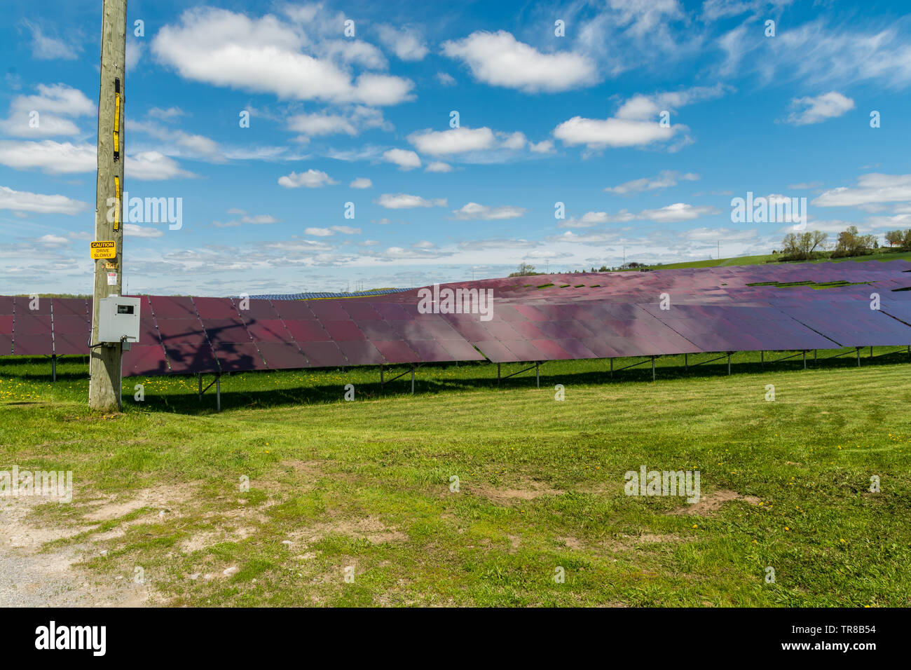 Solar pannels farm hi-res stock photography and images - Alamy
