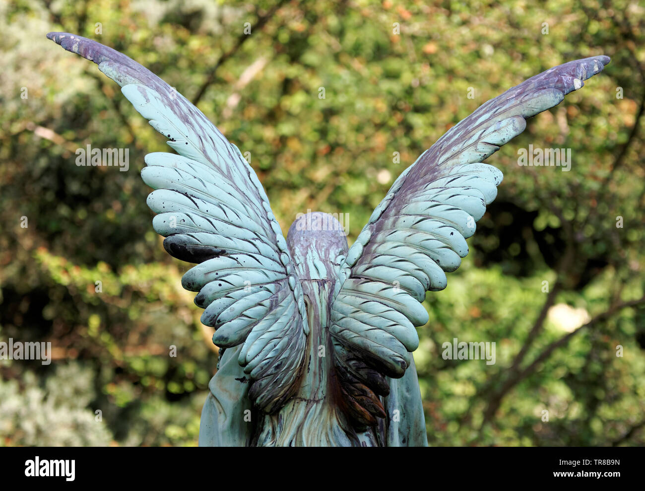 rear view of angel wings at a cemetery in cologne against blurred background Stock Photo