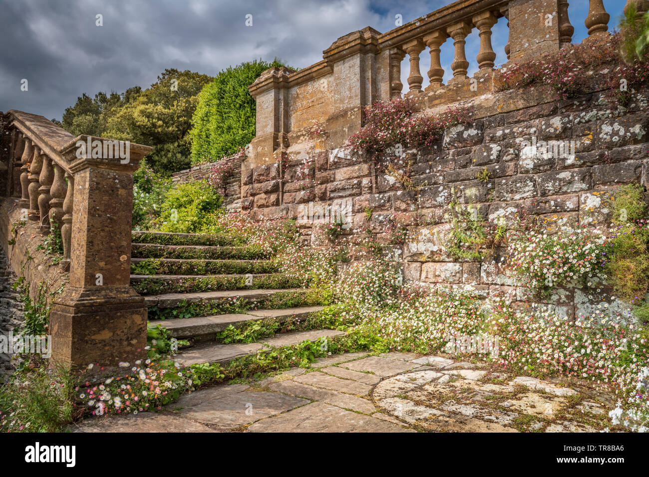 One of the attractive set of steps on the Victorian Terrace at Hestercombe House and Gardens near Taunton in Somerset. Stock Photo