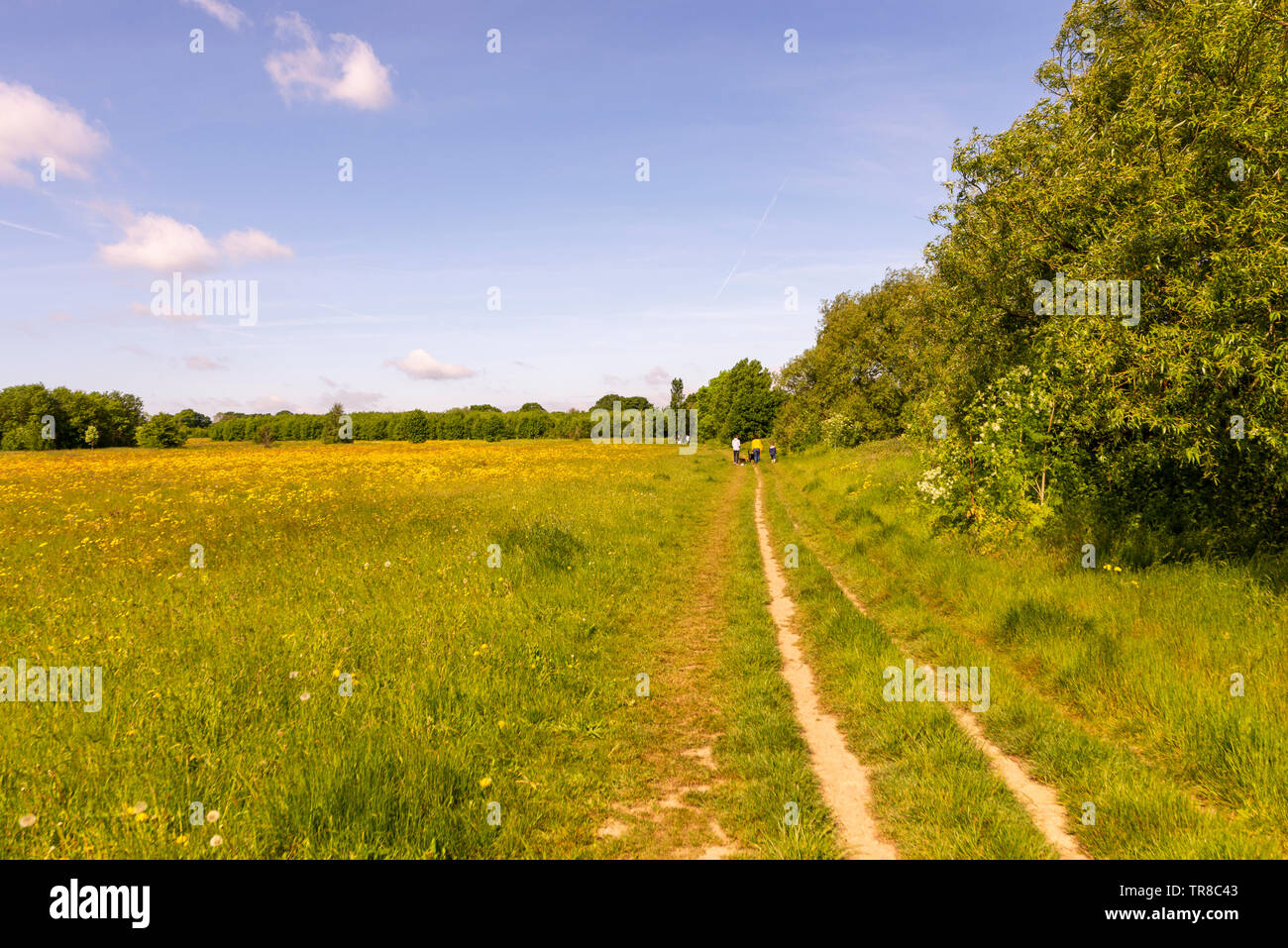 People walking in Cherry Orchard Jubilee Country Park, Rochford Country
