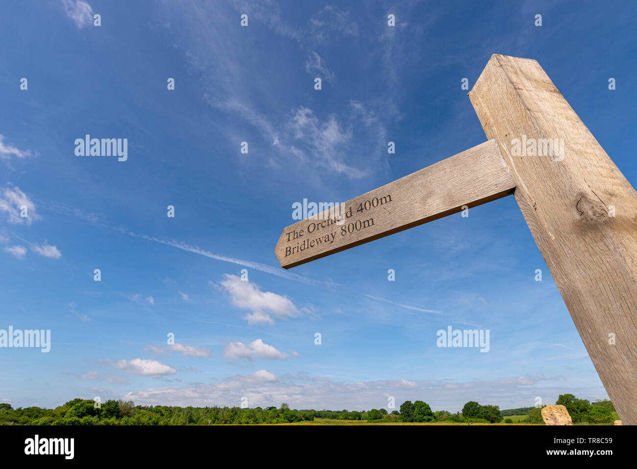 Cherry Orchard Jubilee Country Park, Rochford Country Park, Southend