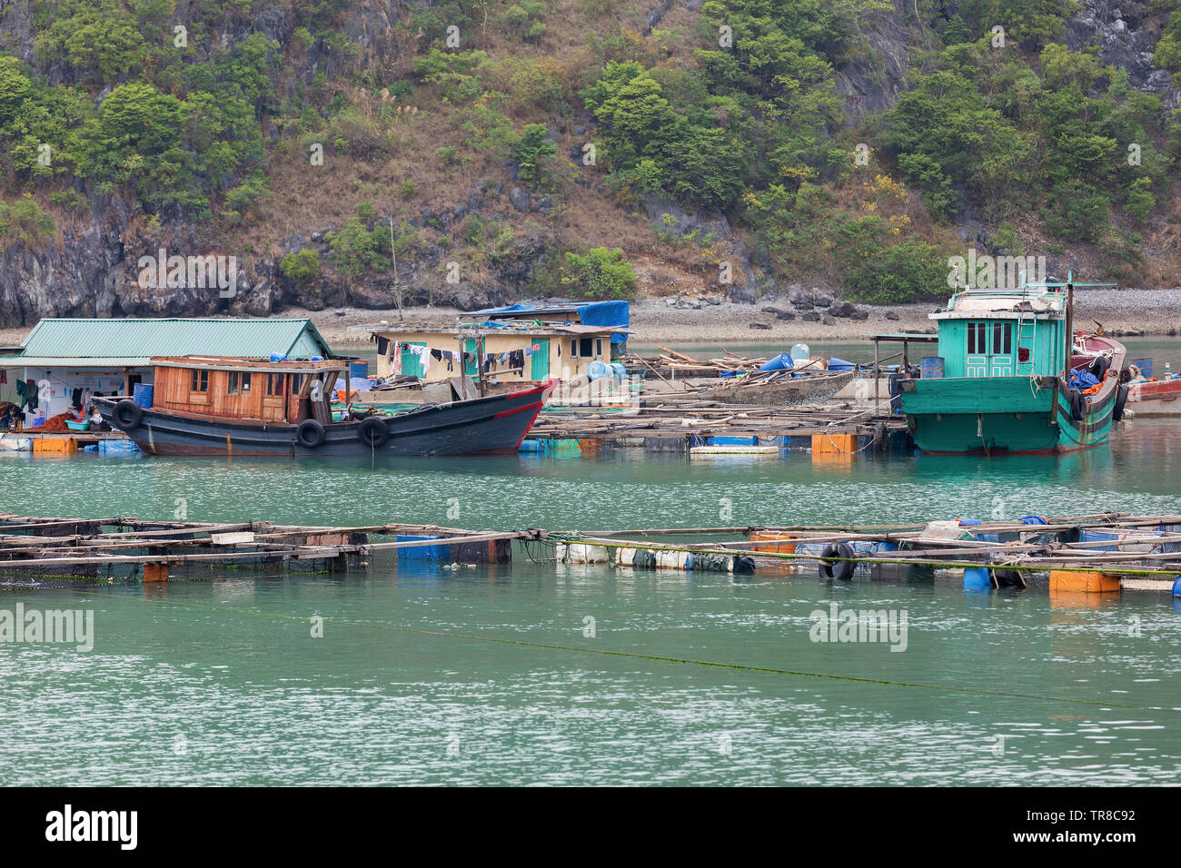 LAN HA BAY, VIETNAM FEBRUARY 2019; Floating Fishing Village Stock Photo Alamy