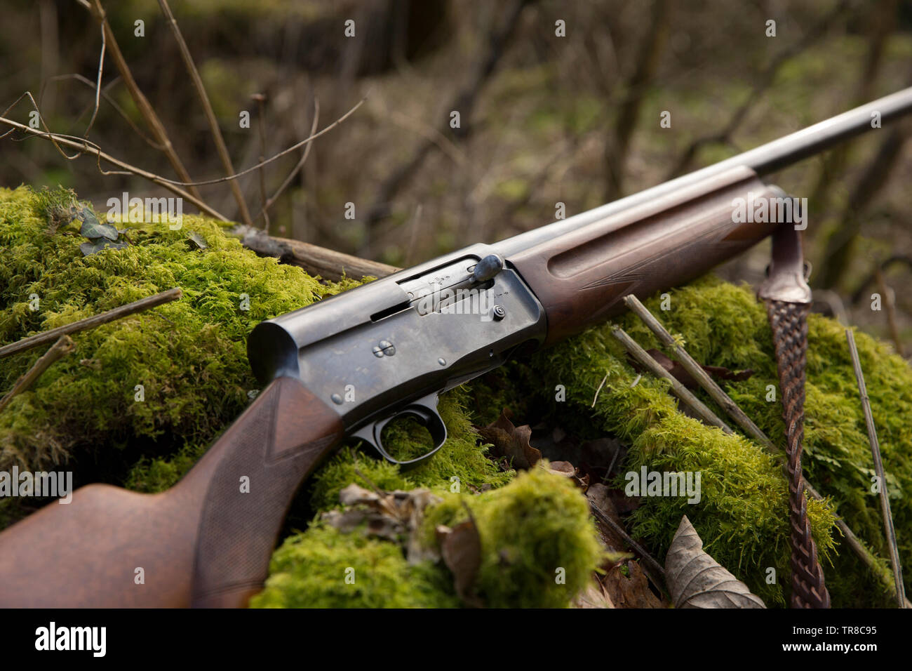 A 16 gauge Browning Automatic-5 shotgun. The gun, which was also made in smaller 20 gauge and larger 12 gauge, was the invention of famous American fi Stock Photo