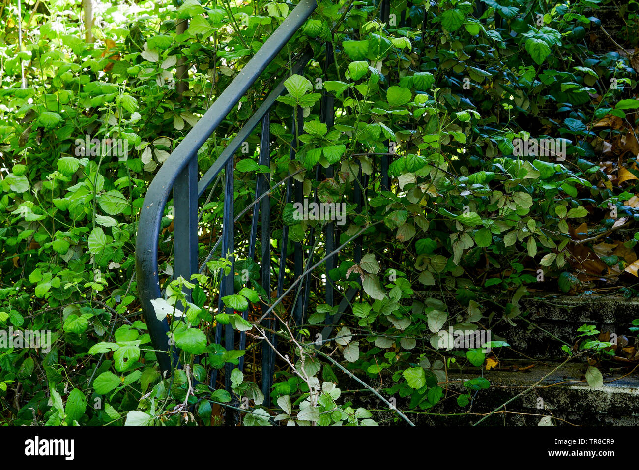 Springtime view of an Abandonned garden surrounding a dead man house, Lyon, France Stock Photo