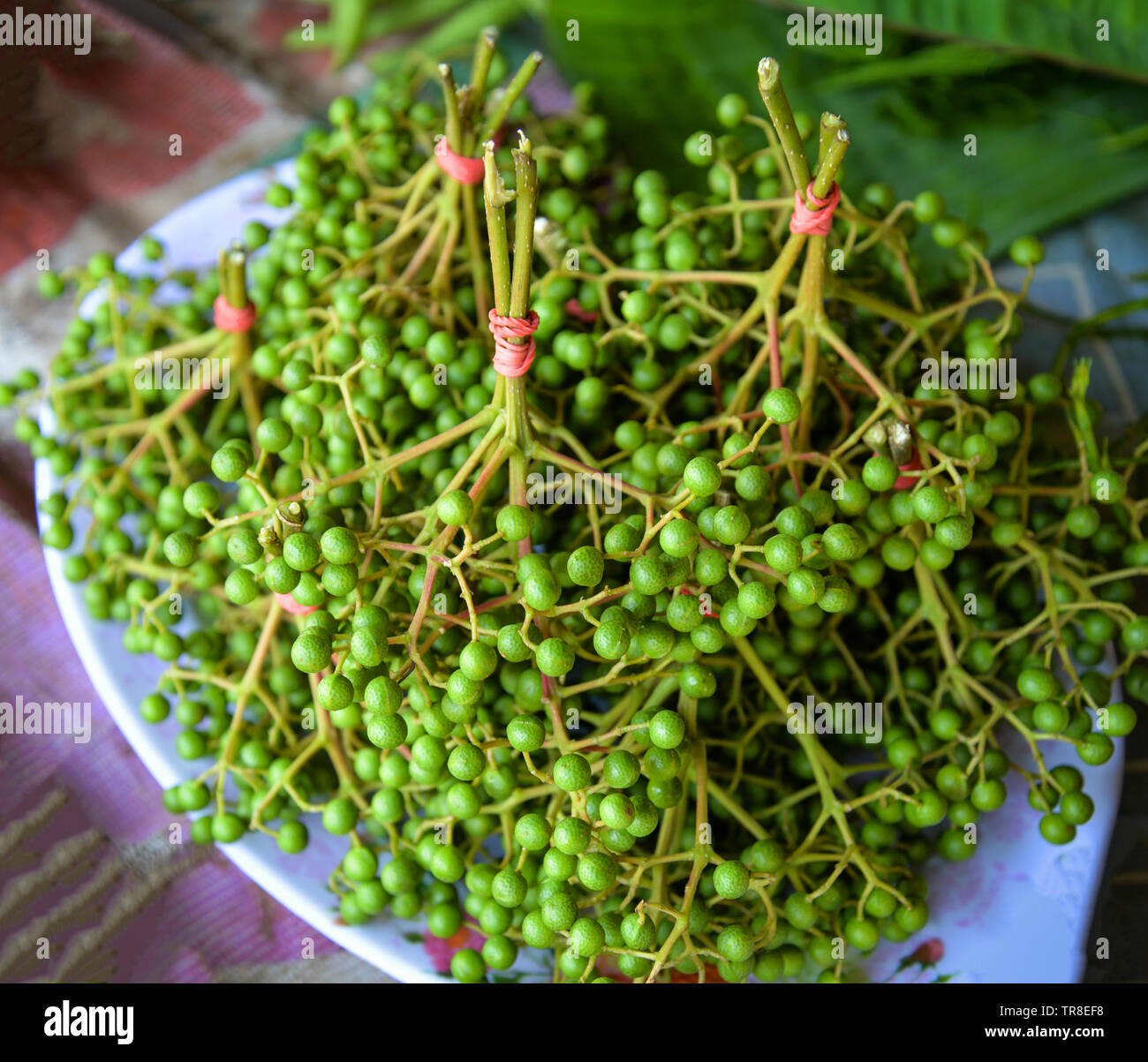 Fresh sichuan pepper fruits for sale in local market / Zanthoxylum