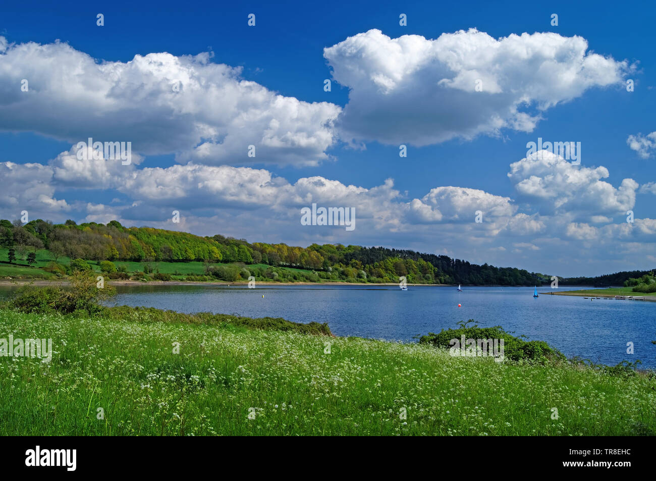 UK,Derbyshire,Ogston Reservoir Stock Photo